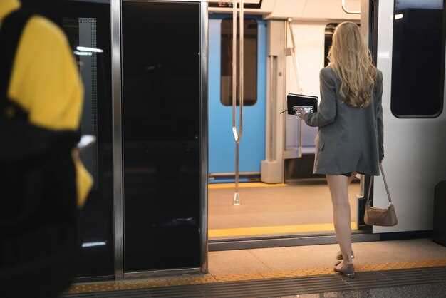 Пошаговая инструкция по регулировке замка и доводчика дверей