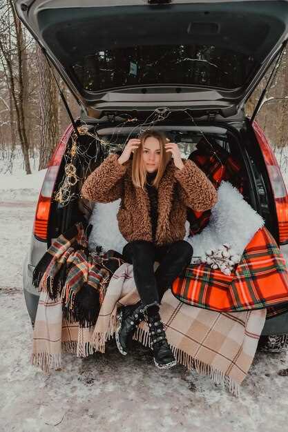 Совместимость с различными моделями автомобилей