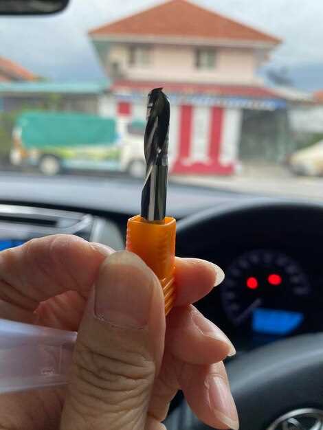 Дополнительные меры для защиты нового замка от korrozii i zablokirovki