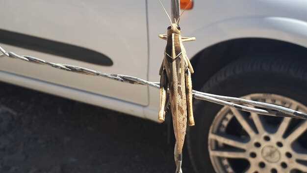 Тонкости зацепки и грамотное выполнение процедуры