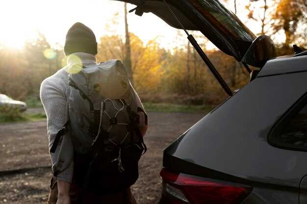 Инструменты и материалы, необходимые для замены