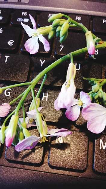 Какие инструменты и программное обеспечение нужны для прошивки