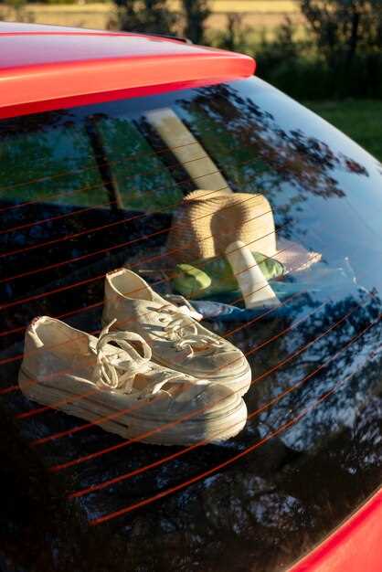 Правильный уход и подбор мухобойки для защиты капота