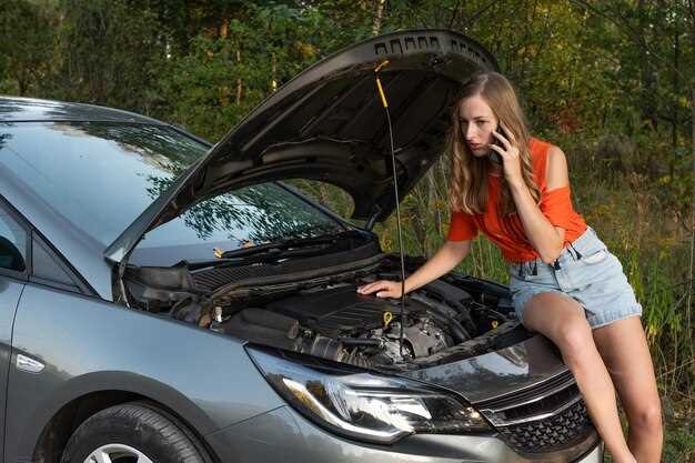 Основные причины отказа запуска дизельного двигателя Рено Сценик