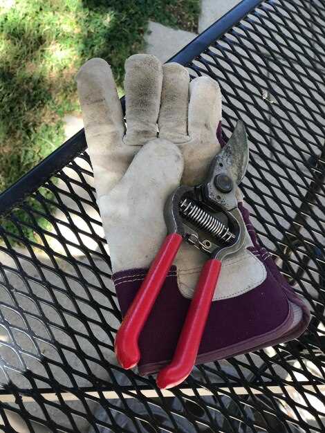 Замена фильтров воздуха и масла: когда и как правильно выполнять