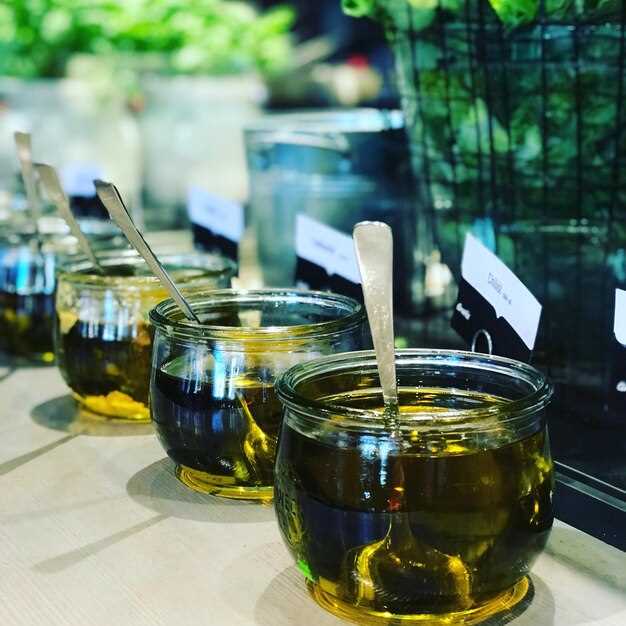 Рекомендации производителя мотора и отзывы владельцев